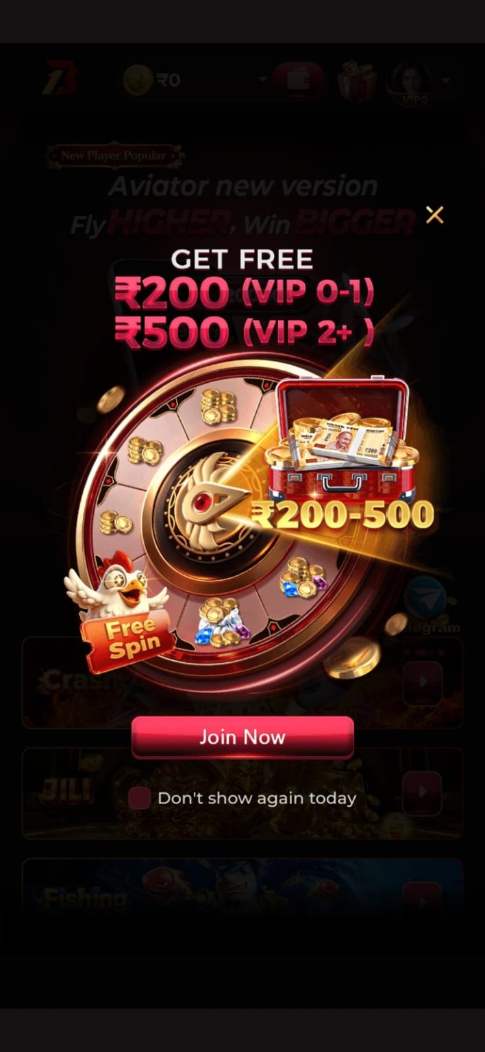 BONU1 Game login screen with account access and dashboard